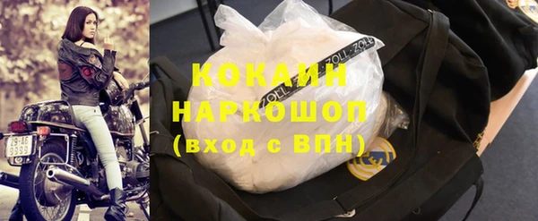 стафф Семилуки