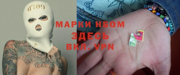 стафф Семилуки